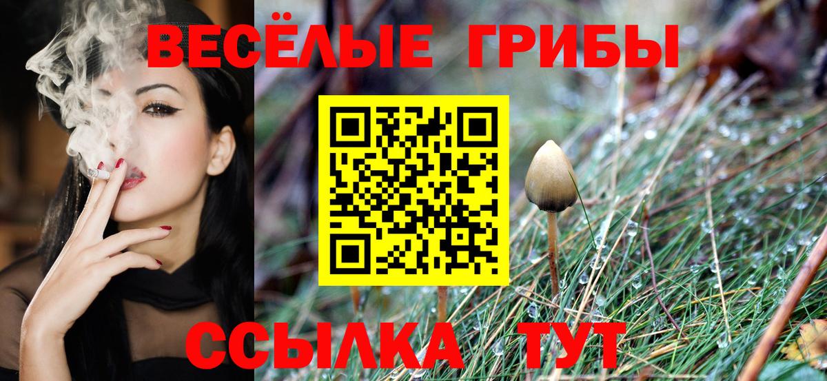 Псилоцибиновые грибы мухоморы  Вход с VPN  Галлюциногенные грибы Psilocybine cubensis  закладка  Смоленск 