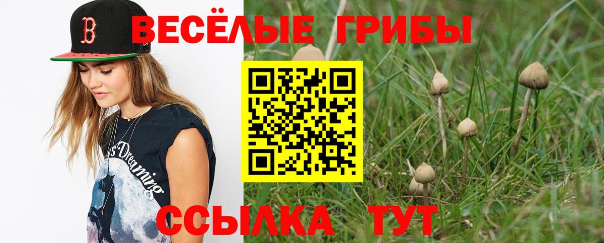 Псилоцибиновые грибы мицелий Смоленск